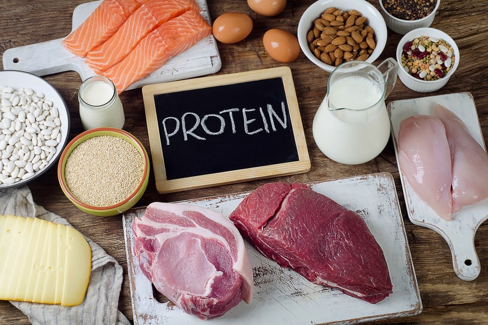 How Much Protein Do I Need On The Keto Diet? - | Low Carb Recipes